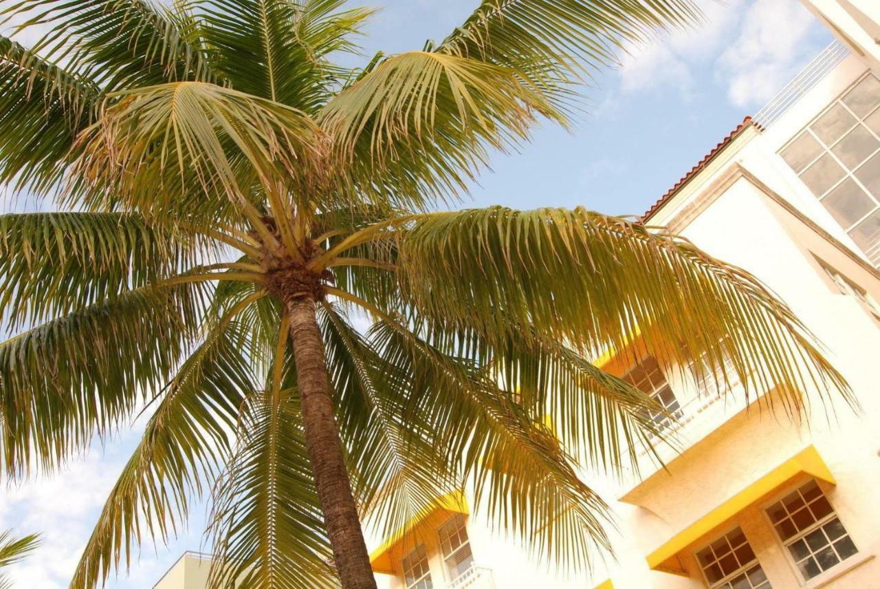 2 Bedroom Ocean Drive Newly Renovated — Photos 2